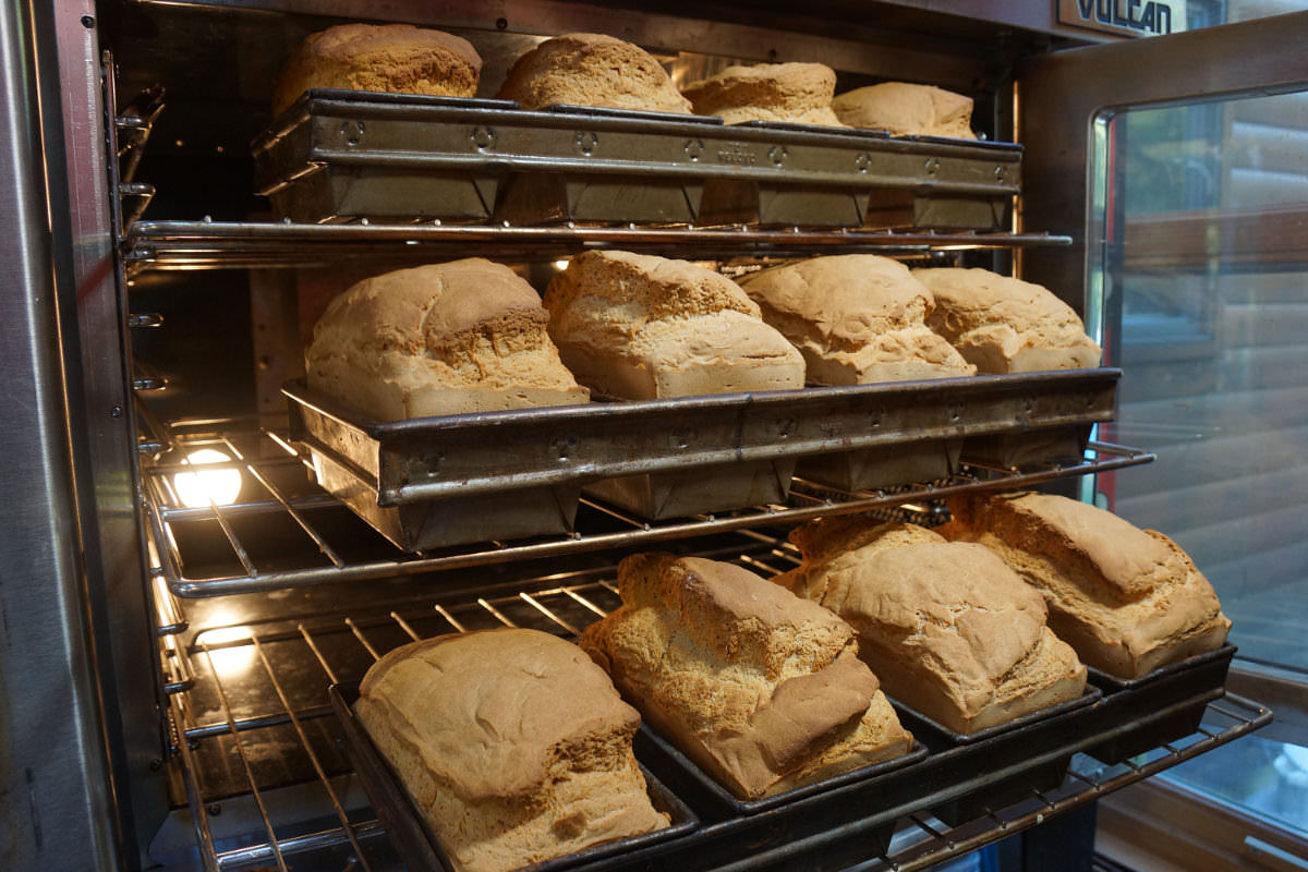 Bread lady bakery